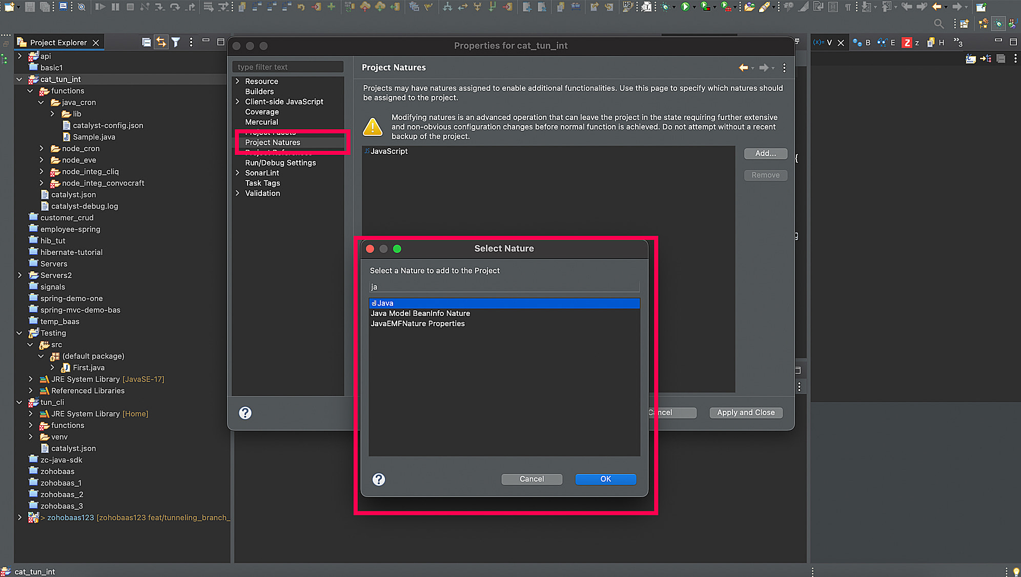 catalyst_tunneling_debugging_java_eclipse_project_nature