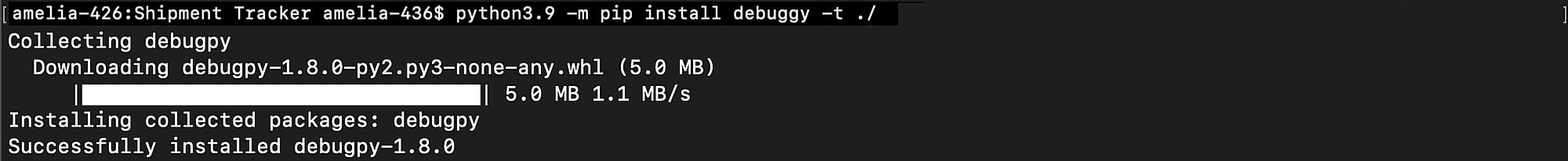 catalyst_tunneling_vscode_debug_install_python_debuggy