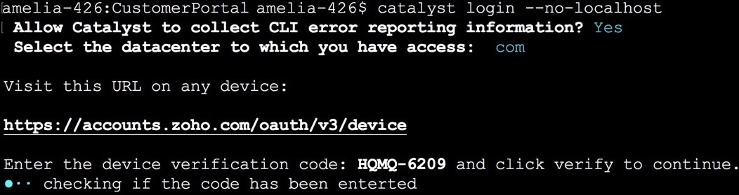 catalyst_cli_login_no_localhost