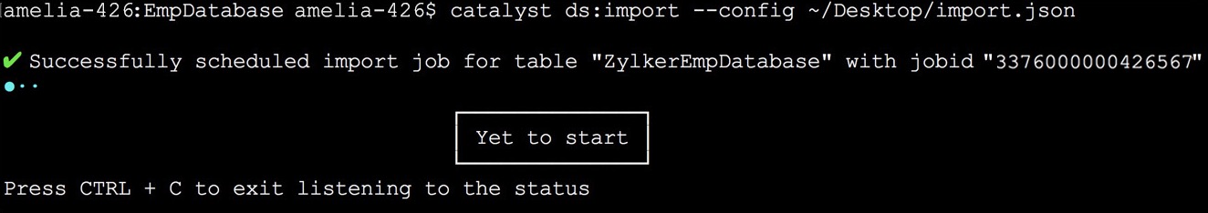 Data Store CLI Import