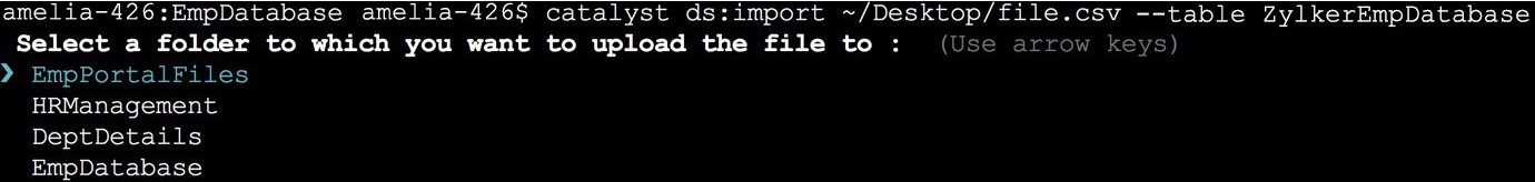 Data Store CLI Import