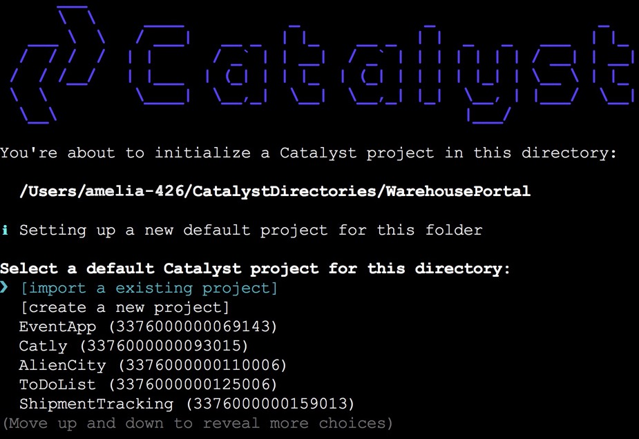 Import Project through init