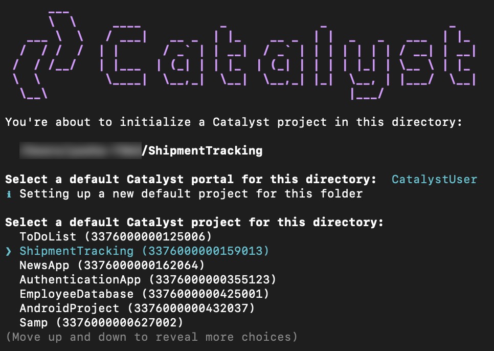 catalyst_cli_initialize-project