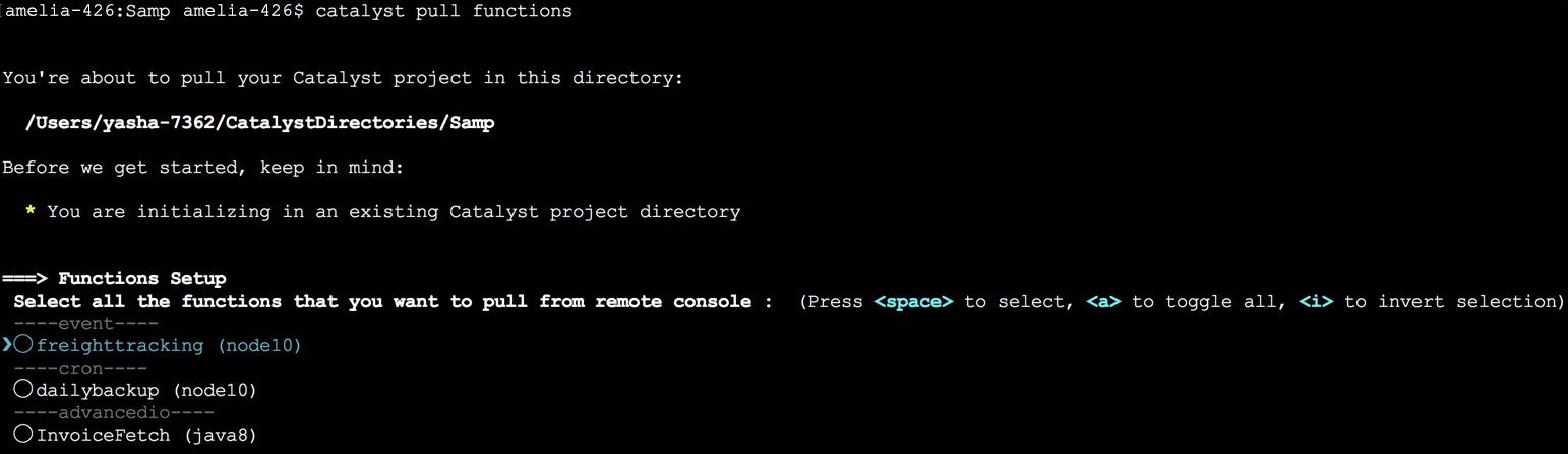 Pull a Specific Resource in CLI
