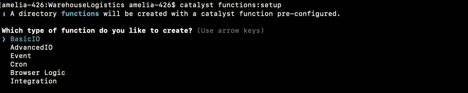 Setup Functions Type