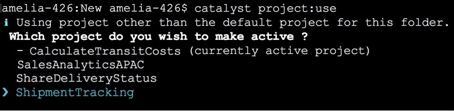 Use Catalyst Project in CLI