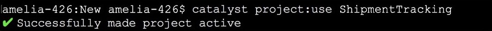 Use Catalyst Project in CLI