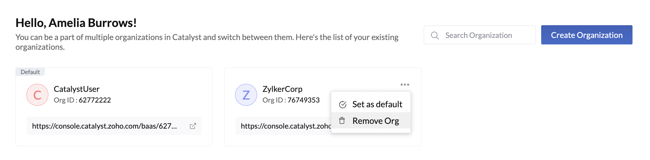 catalyst_console_org_delete