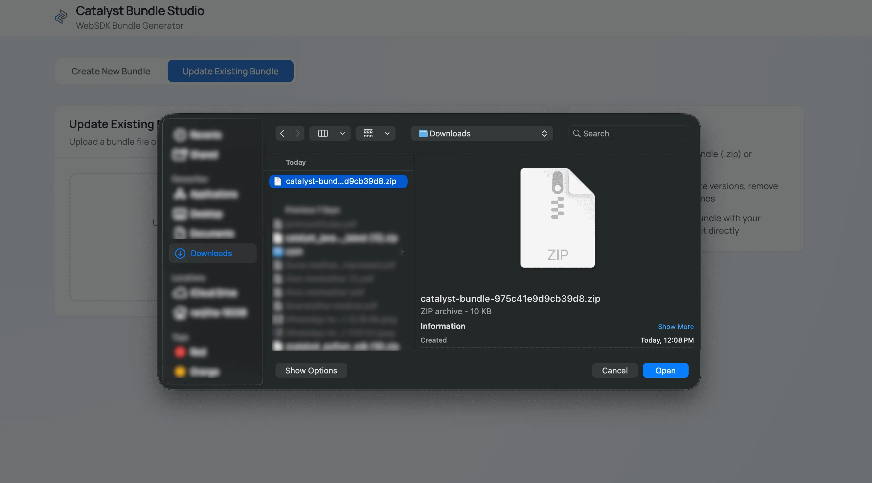 catalyst_modular_sdk_webpack_update-manifest