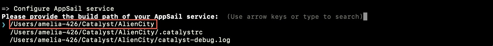 catalyst_alien_city_cli_appsail_dir_select