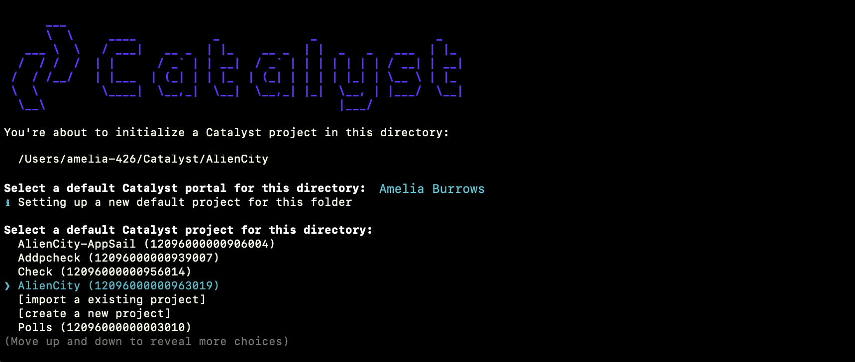 catalyst_alien_city_cli_project_choice