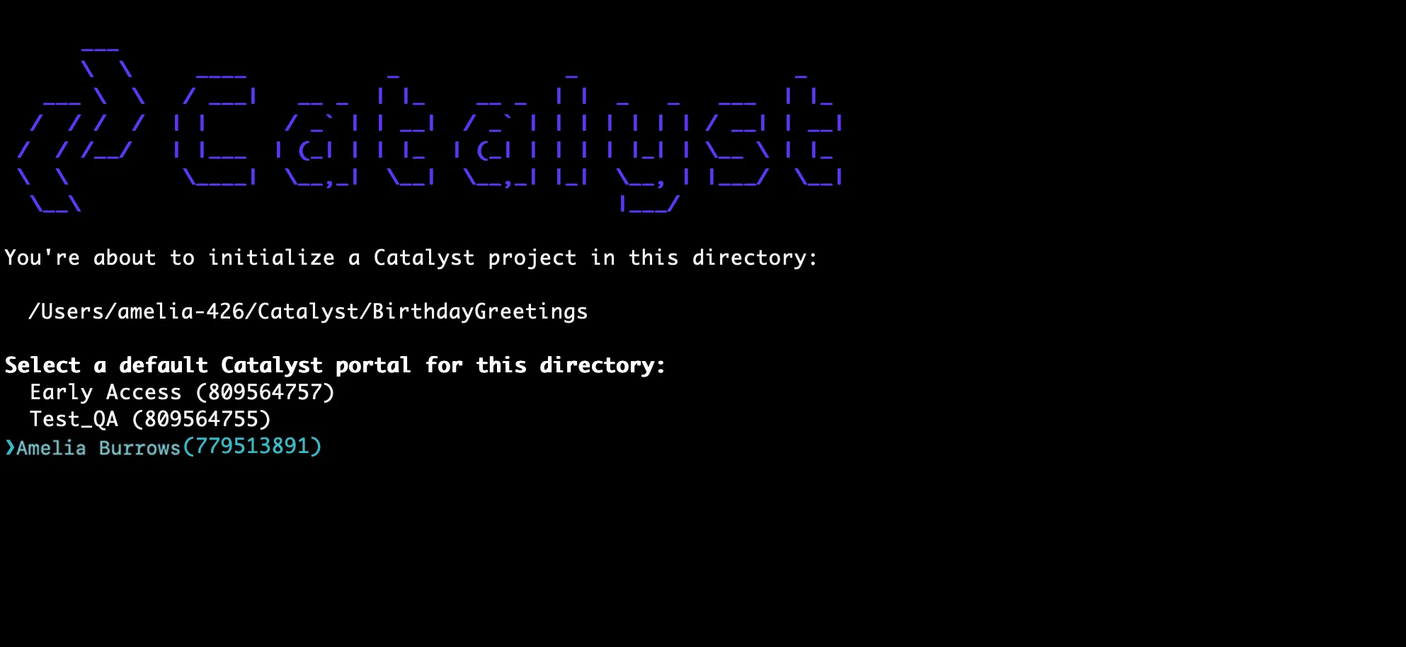 catalyst_tutorials_jobscheduling_cli_portl_choice