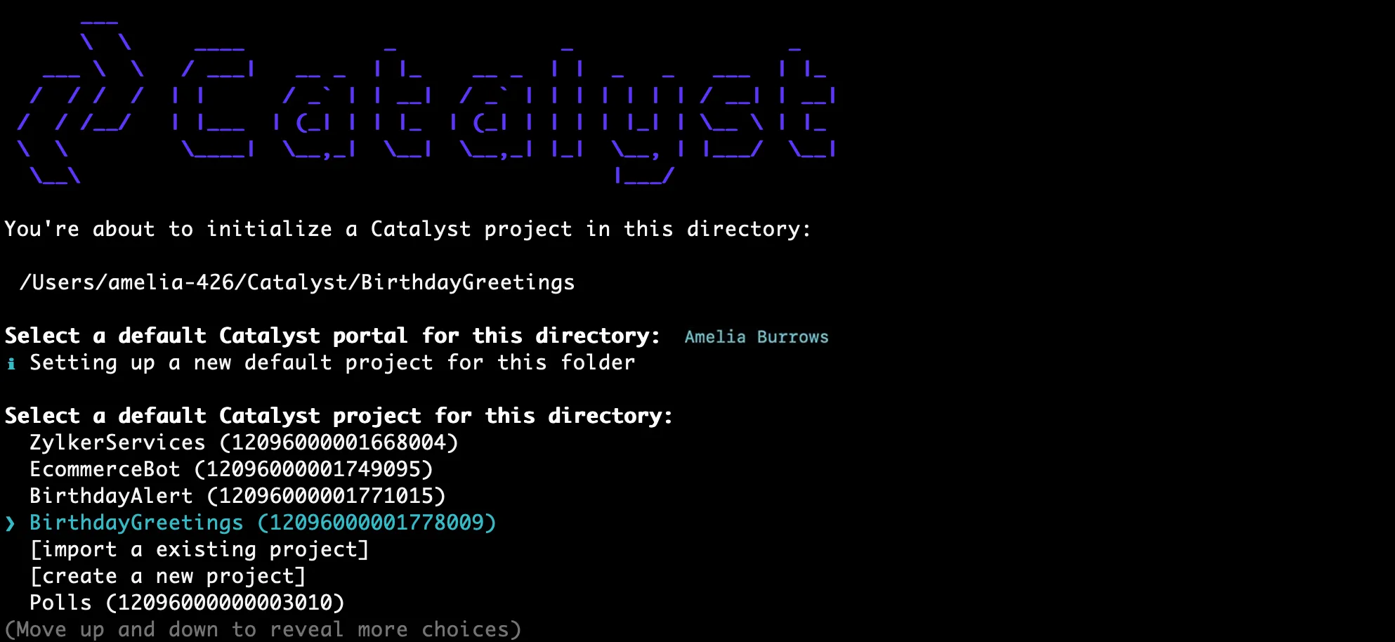 catalyst_tutorials_jobscheduling_cli_project_choice