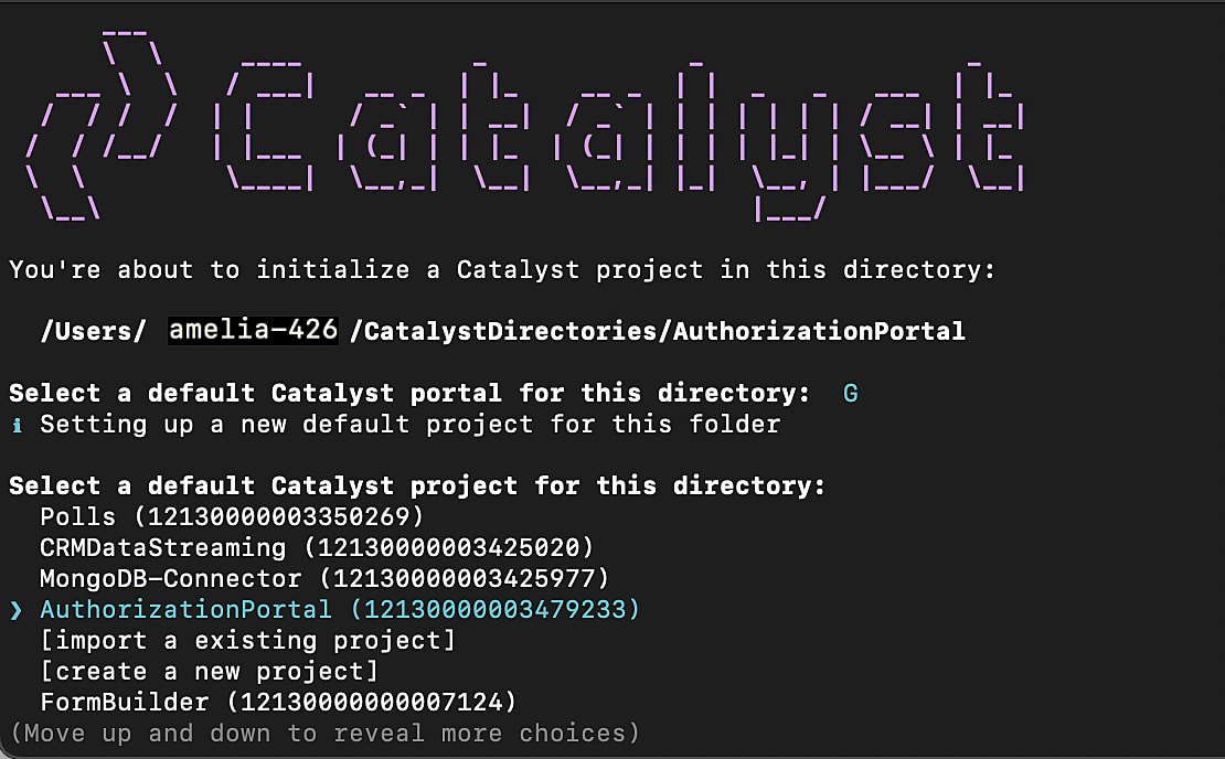 catalyst_authentication_project_select