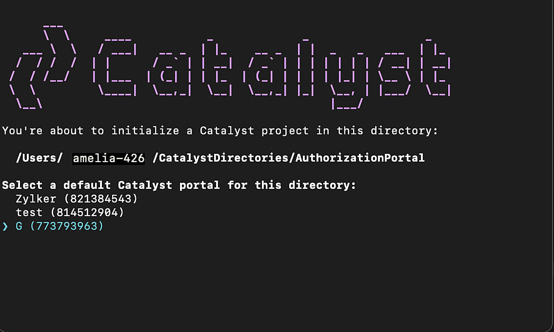 catalyst_authorization_portal_multiorg_choice