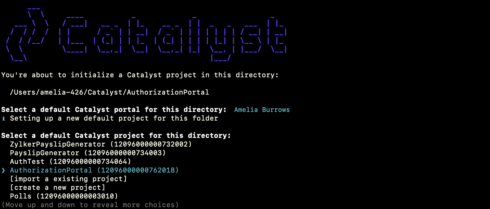 catalyst_authentication_hosted_project_select