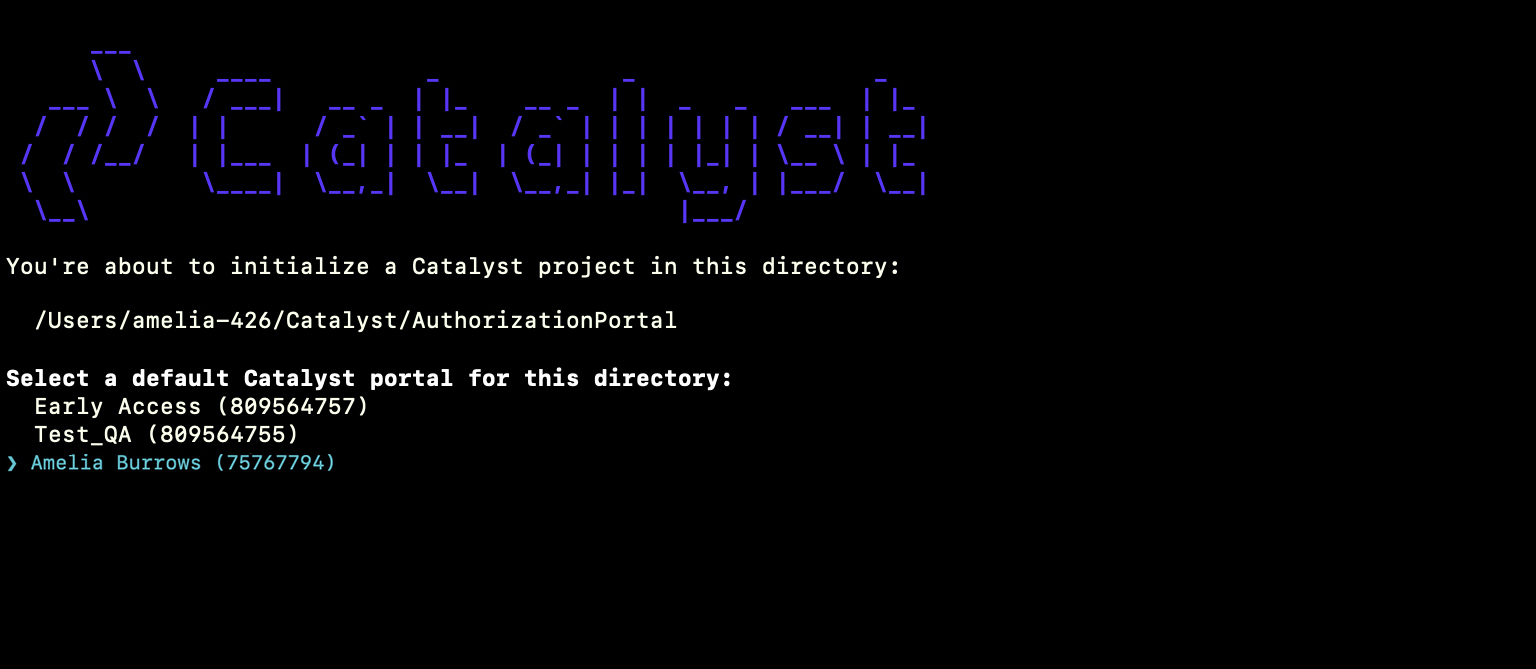 catalyst_authorization_portal_multiorg_choice