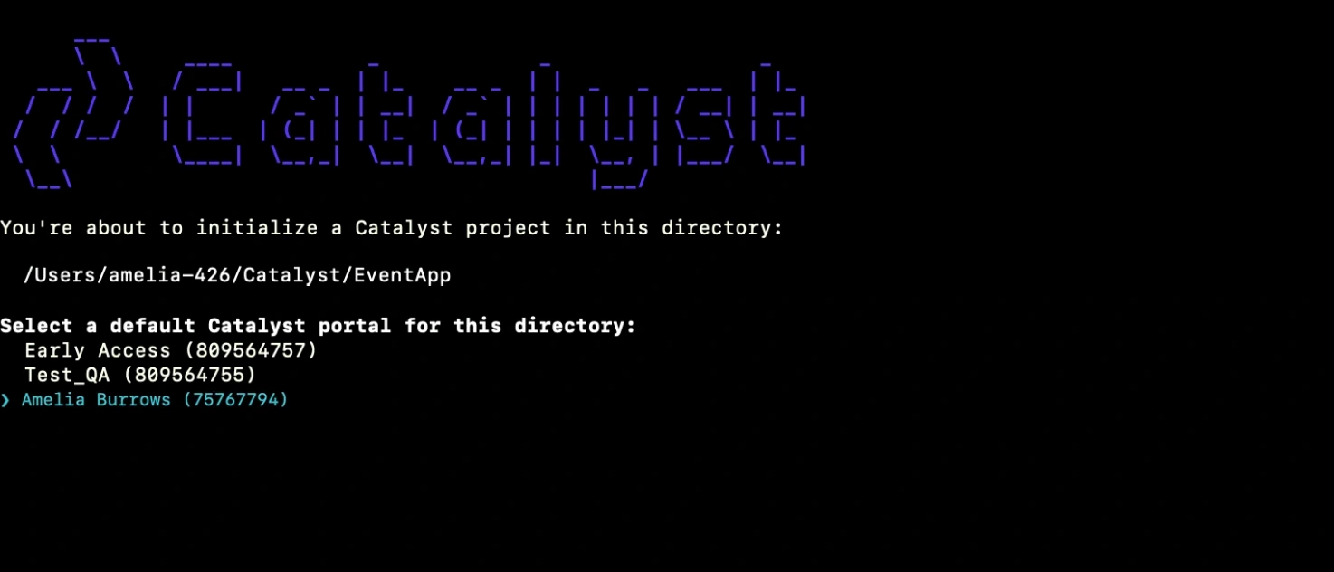 catalyst_authorization_portal_multiorg_choice