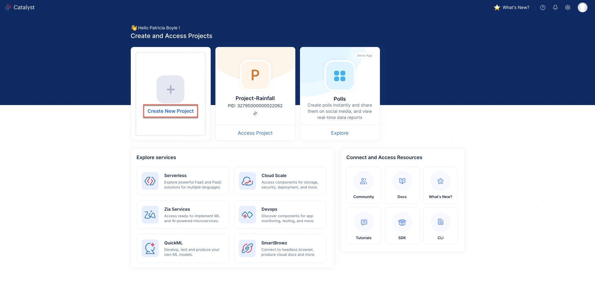 catalyst_invoice_notifier_create_project