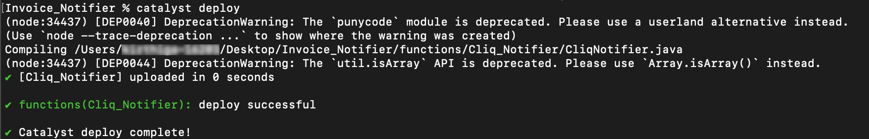 Deploy the project