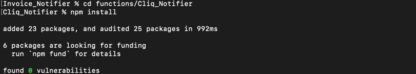 Install npm