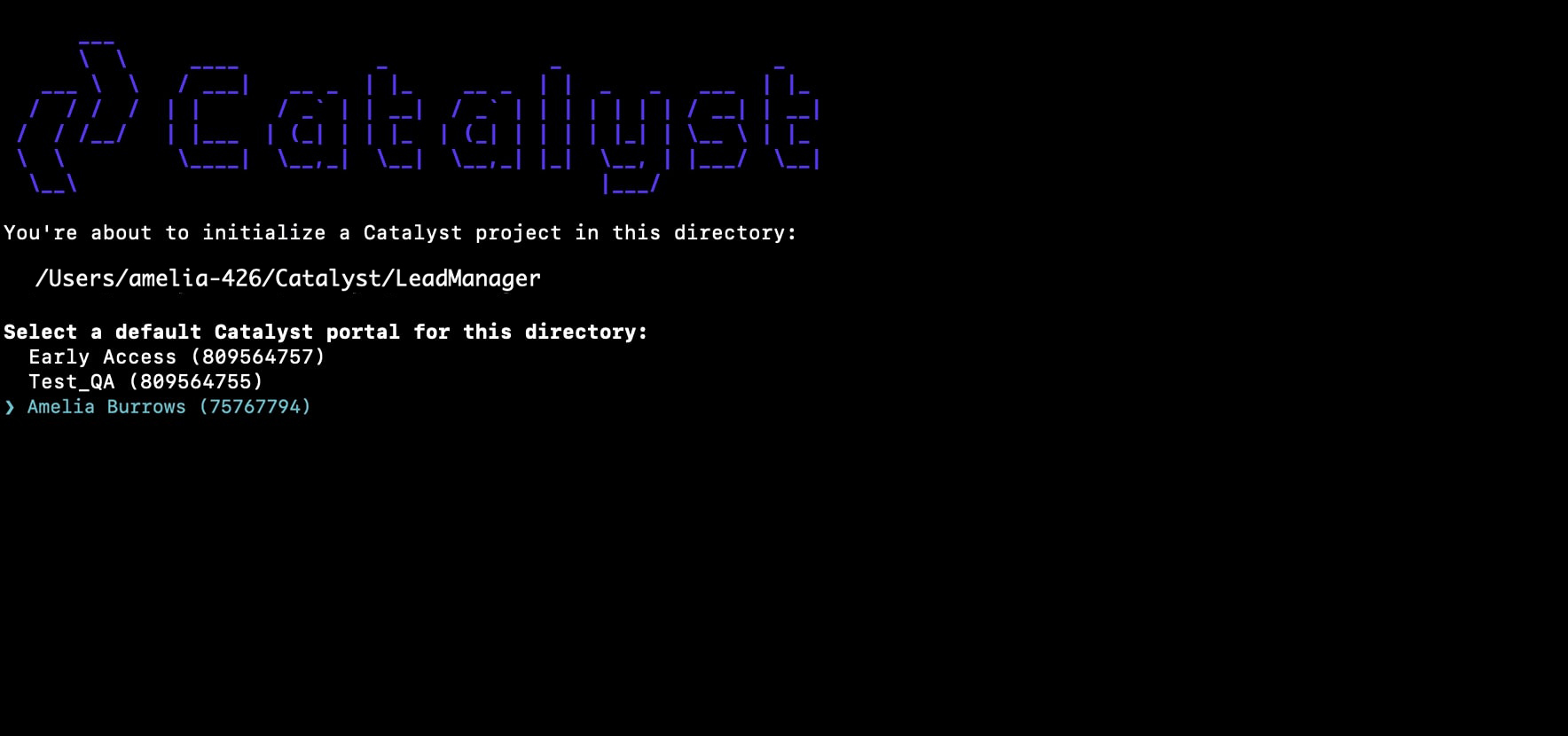 catalyst_tutorials_leadmanager_appsail_catalyst_init