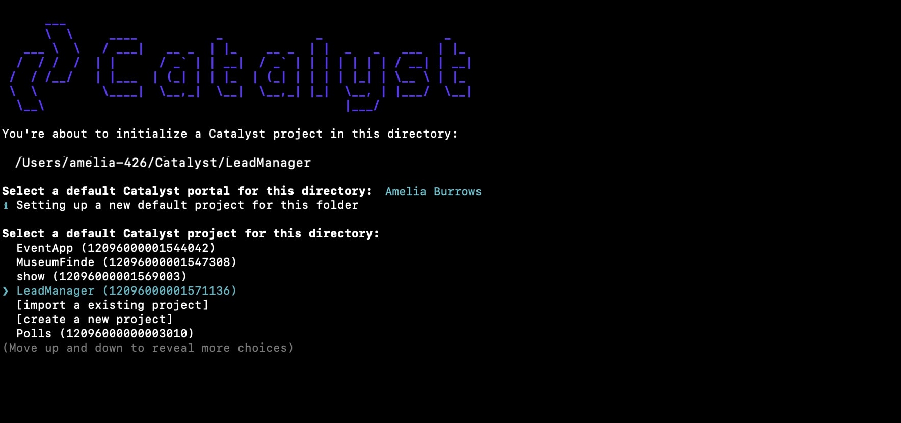 catalyst_tutorials_leadmanager_appsail_cli_proj_sel