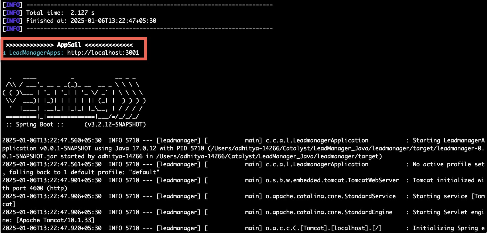 catalyst_tutorials_leadmanager_appsail_springboot_cli_screen