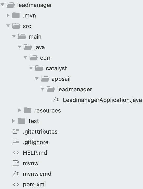 catalyst_tutorials_leadmanager_appsail_springboot_pre_init