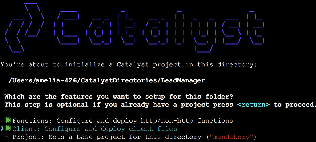 catalyst_leadmanager_init_1