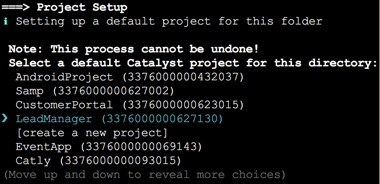 catalyst_leadmanager_init_2