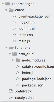 catalyst_leadmanager_proj_dir_struct_node