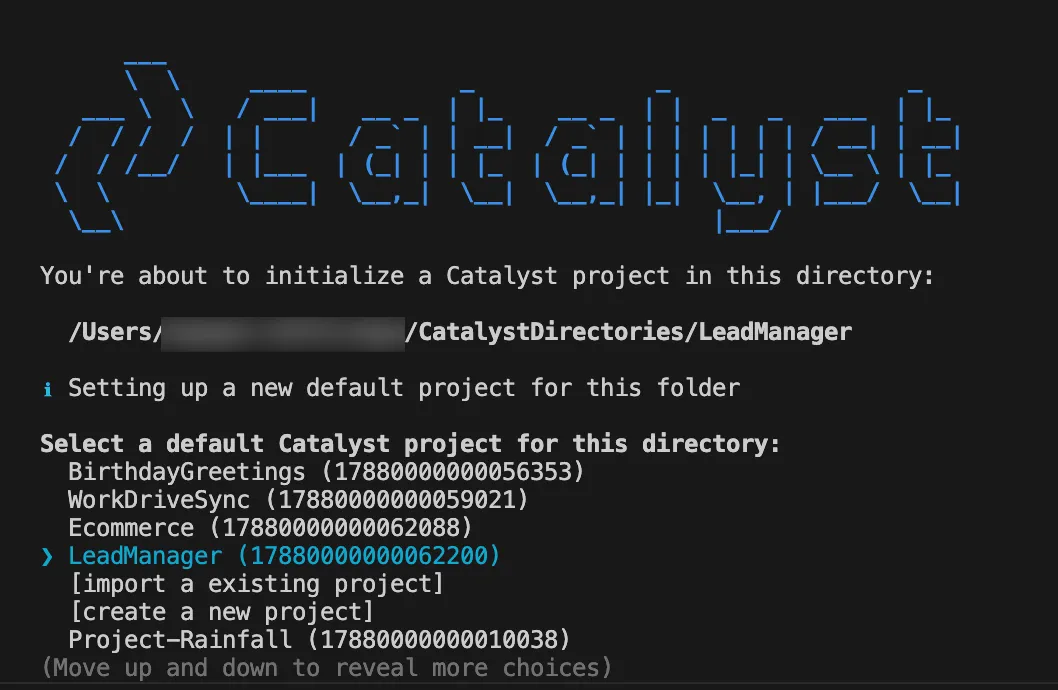 catalyst_leadmanager_init_1