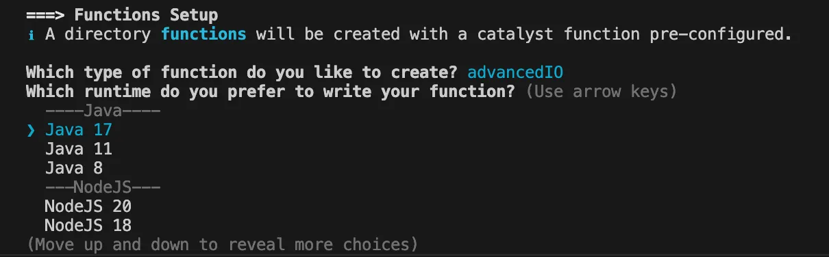 catalyst_leadmanager_init_4