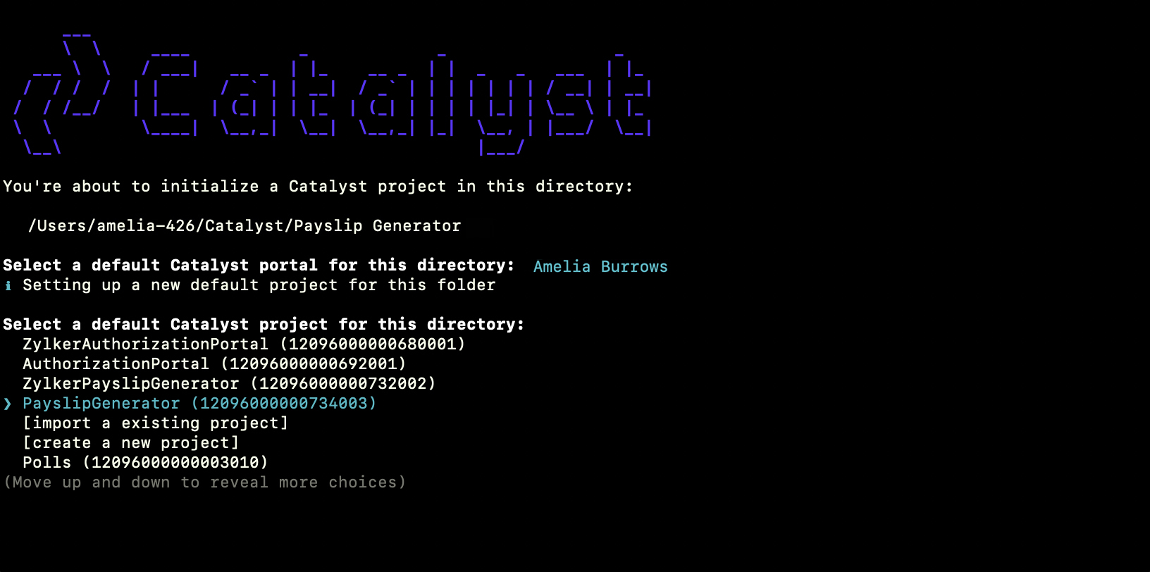 catalyst_payslip_project_choice