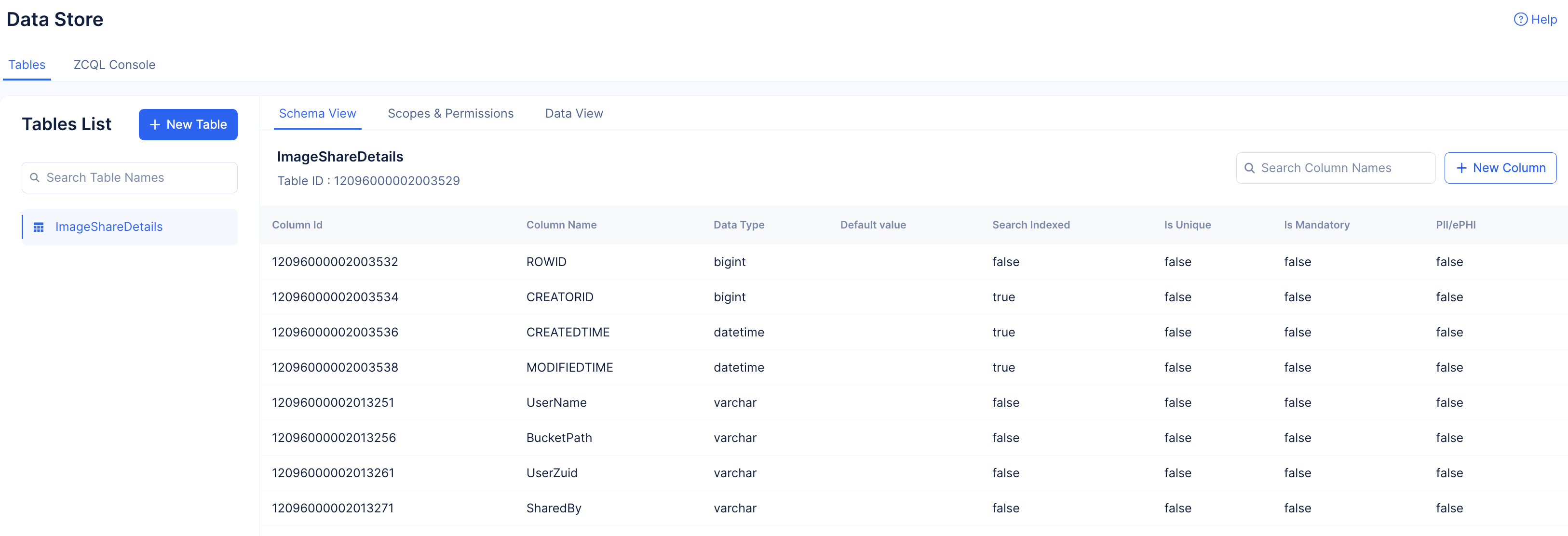 catalyst_tutorials_photostore_datastore_table_all_clm_created