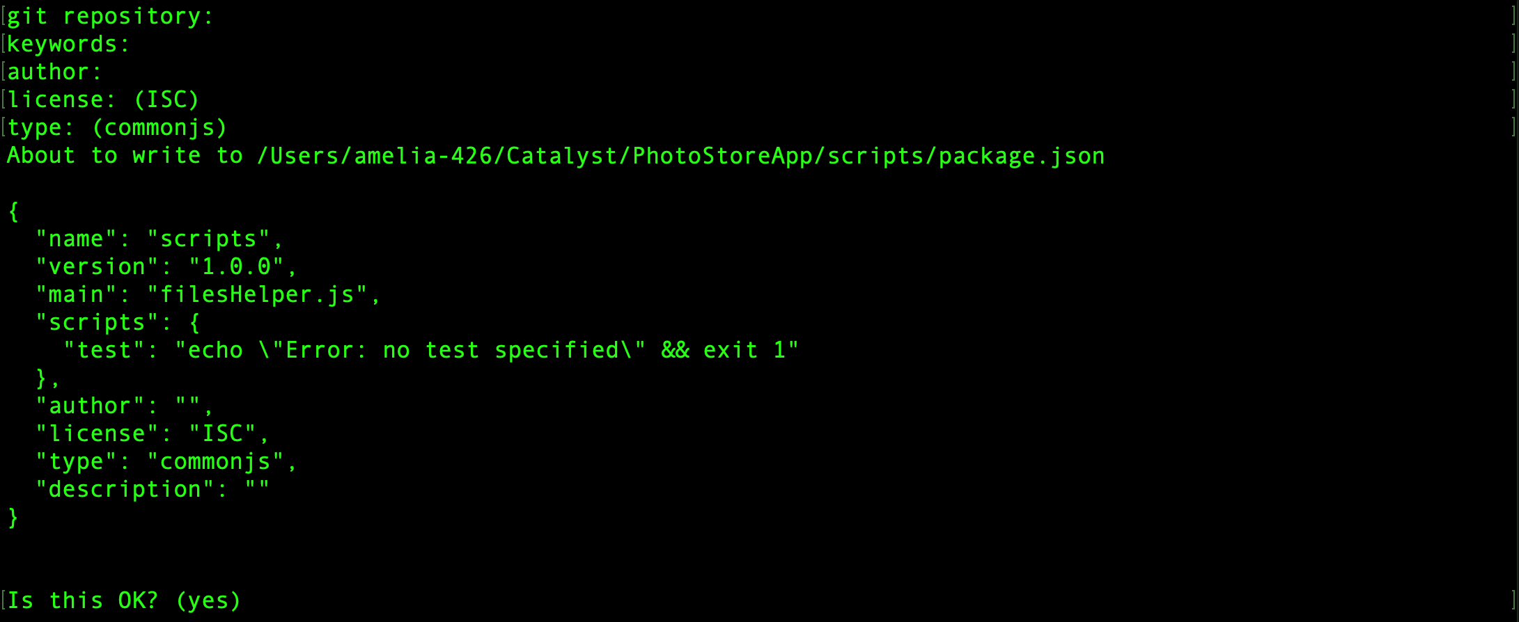 catalyst_tutorials_photostore_stratus_npm_start_appsail_scripts_npminit