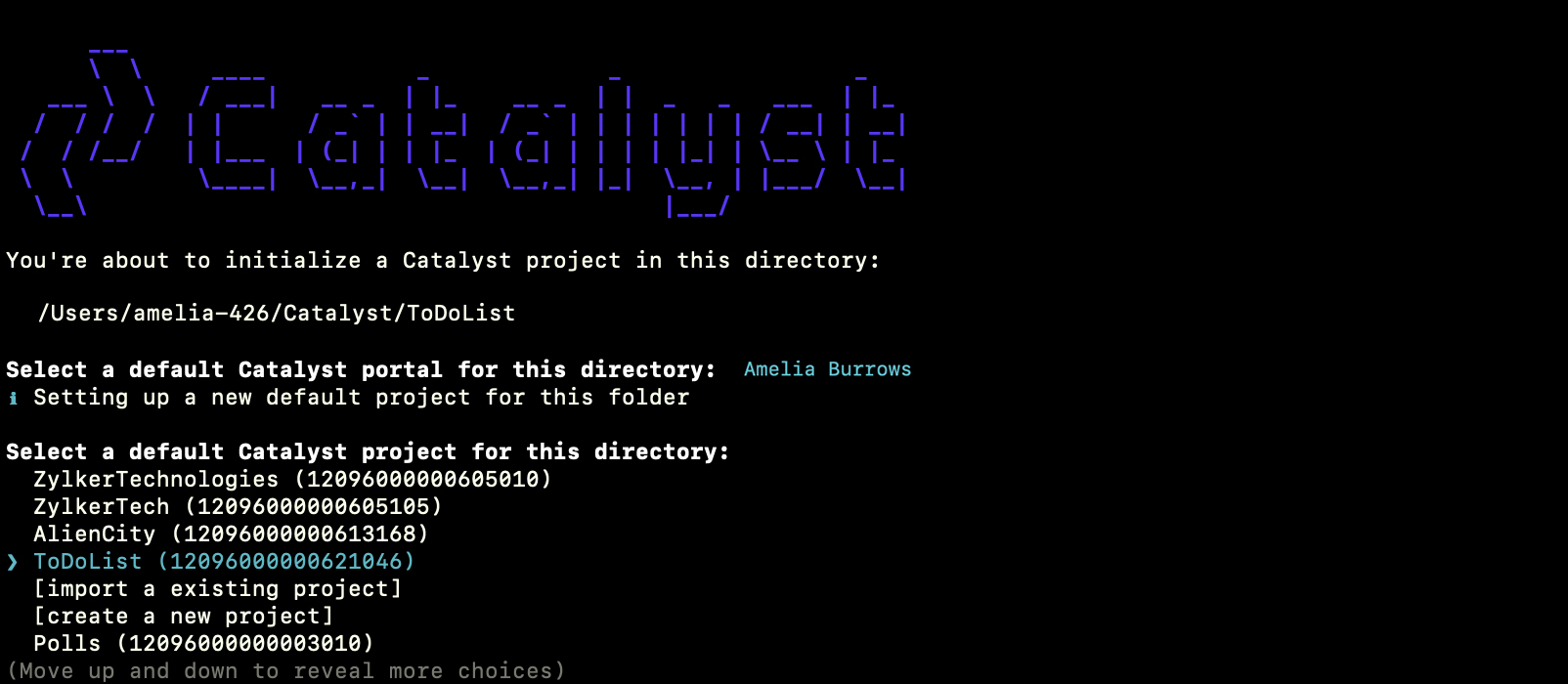 catalyst_todo_project_selection