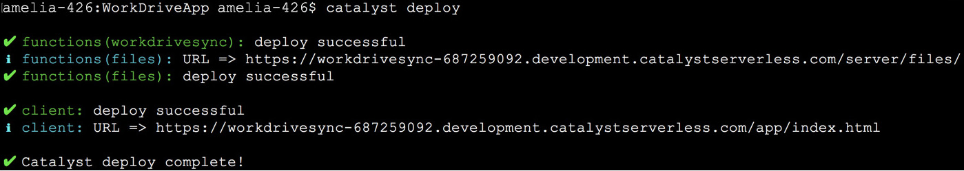 catalyst_workdrive_deploy