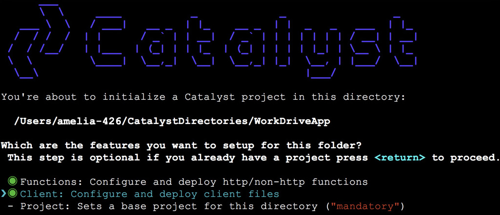 catalyst_workdrive_init_1