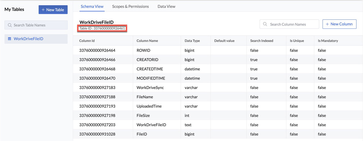 catalyst_workdrive_tableid